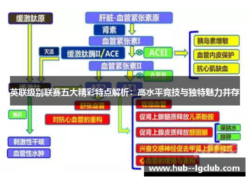 英联级别联赛五大精彩特点解析：高水平竞技与独特魅力并存